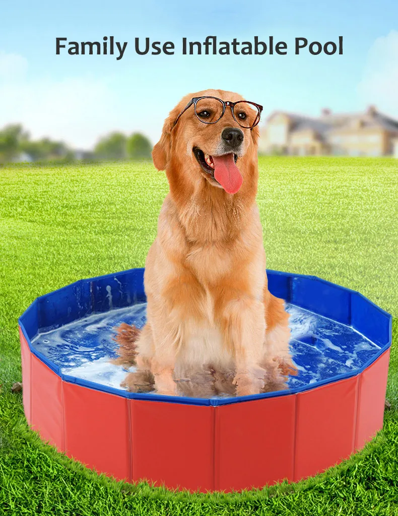 Piscine Pliable Pour Chien 80 Cm – Pataugeoire Non Gonflable En PVC, Baignoire Portable Pour Animaux Et Bébés, Antidérapant