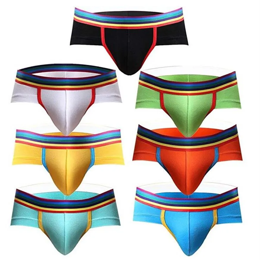 Sous-vêtements pour hommes Rainbow Low Rise Modal Briefs Pack305e