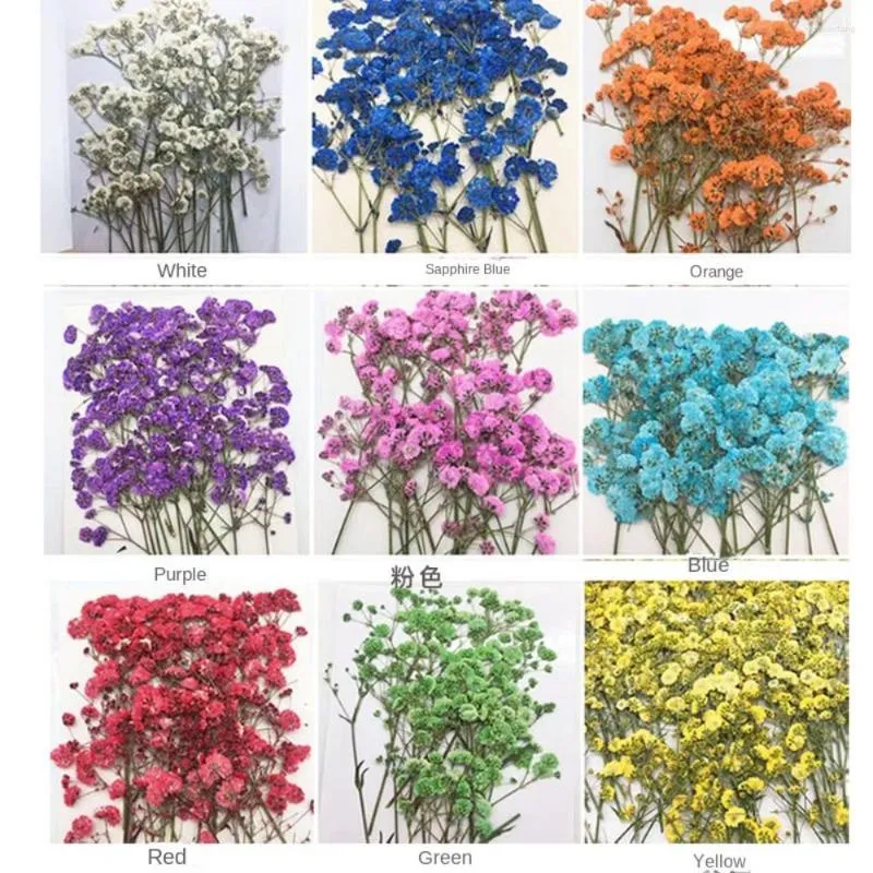 Dekorative Blumen 2PCS Handwerk DIY für Telefon Fall Postkarte Rahmen getrocknete Gypsophila Pflanzen Herbarium gepresst echt