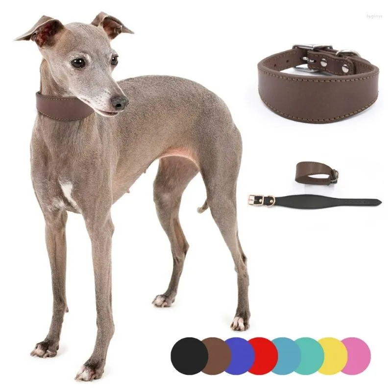 Dog Collars Wide Padded Dogs Collar Genuine Leathers Puppy For Lurchers Italian Greyhounds Comfortable Pet Accessories