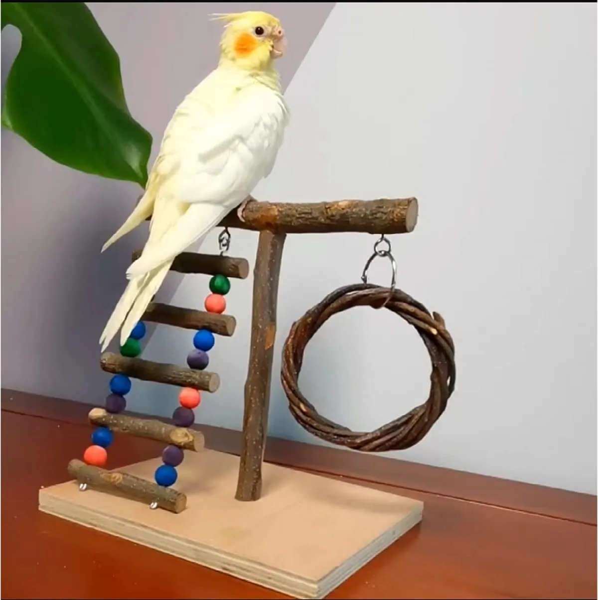 Étagère de support de jeu d'oiseau de table de terrain de jeu de cage à oiseaux en bois naturel avec des accessoires de Cage de pont de balançoire/bol pour les petits oiseaux