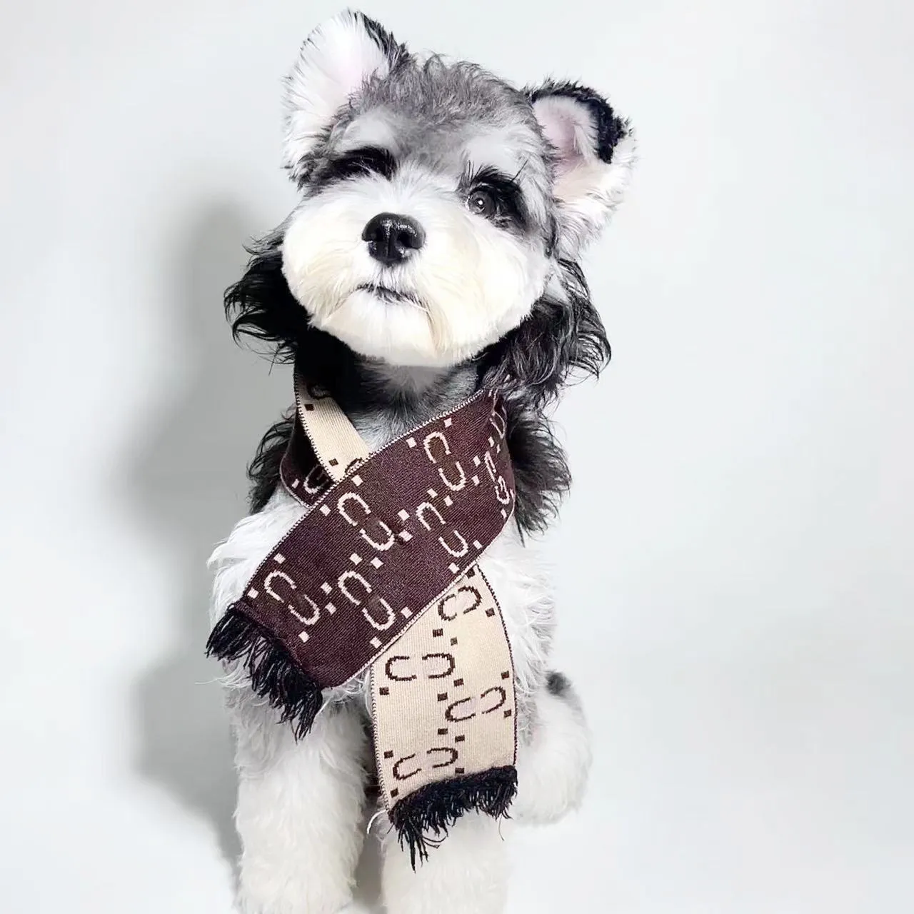 Lenço para cachorro outono inverno cachecol de malha para animais de estimação cachecol estiloso para cachorro e gato acessórios cachecol schnauzer pomeranian peluche quente