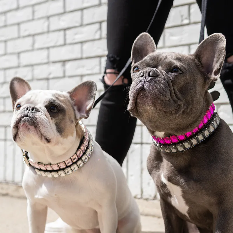 Colliers de chien en cristal Bijoux Collier de chien en cuir avec pierres précieuses Bling pour petits chiens de taille moyenne Tasse à thé Chiot Chihuahua Yorkie Bouledogue français Anniversaire de mariage