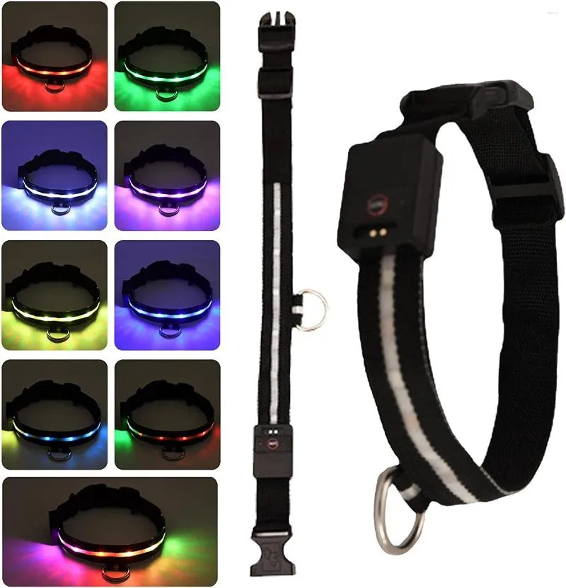 Colliers pour chiens éclairés rechargeables - Collier LED étanche pour la sécurité nocturne | Chiens de promenade légers pour animaux de compagnie au col