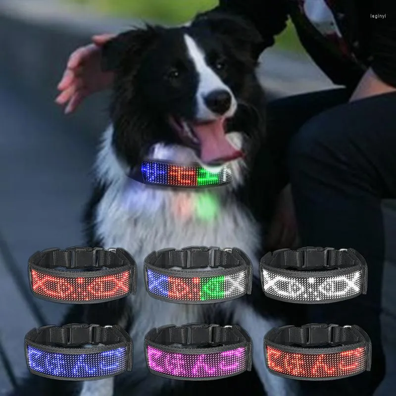 犬の首輪プログラム可能な防水 LED ライト首輪 USB 充電付き子犬に適しています