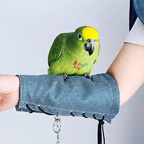 Parrot Shoulder Protector Set: Anti-Scratch Pad, Bite-Resistant Shawl ...