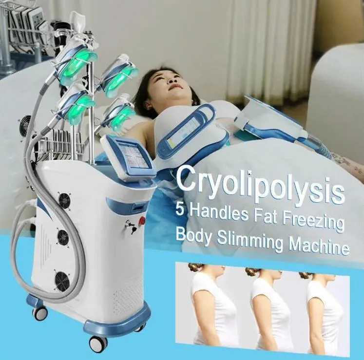 360 cryolipolyse amincissant l'effet vertical amincissant la machine machine de congélation des graisses corps amincissant 5 tête gel élimination des graisses corps façonnant la machine de perte de poids