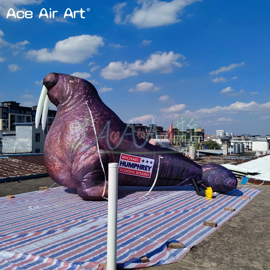 animaux marins gonflables de morse gonflable de 5mL avec le ventilateur libre pour la décoration d'activités de partie de publicité