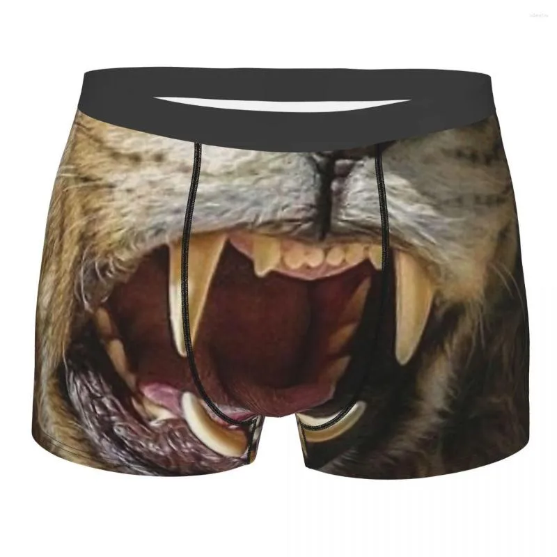 Caleçon Lion rugissant Funny Big Teeth Culotte en coton Sous-vêtements pour hommes Short confortable Boxer Briefs