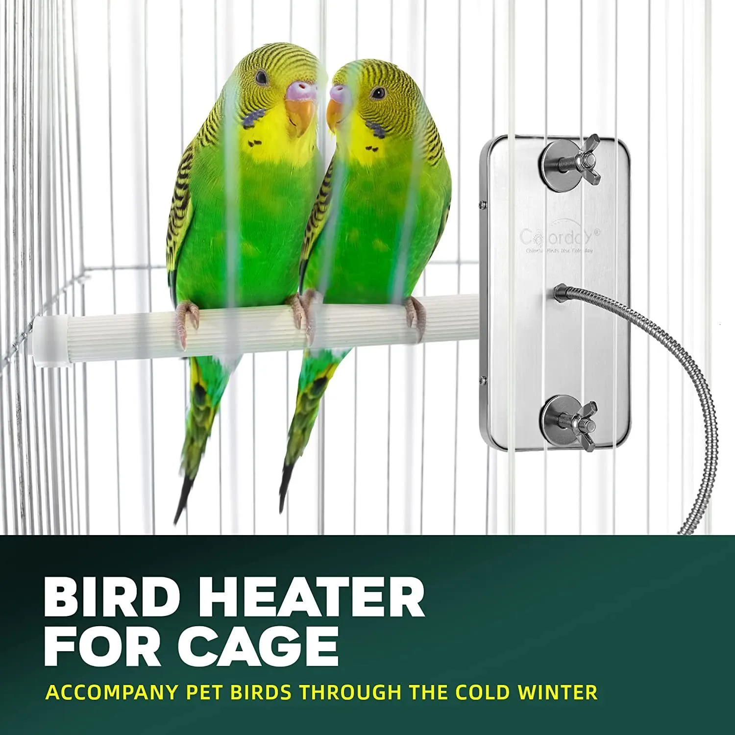 Autres fournitures pour animaux de compagnie Réchauffeur d'oiseaux Réchauffeur de perroquets Perroquets Chauffage Oiseaux Thermostat Lampe chauffante pour petit 230710