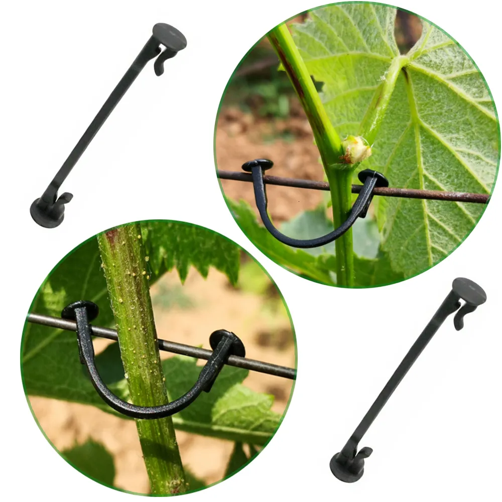 Pince De Suspension Pour Concombre Et Tomate, Pince Pour Semis, Serre Pour Légumes, Fixation De Vigne, Goutte De Vigne, Support De Vigne