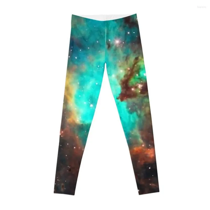 Womens Active Pants Fabletics Women: Galaxy/Seahorse Magellanic