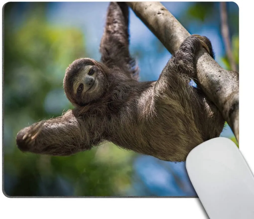 Happy Sloth dostosowany prostokąt antypoślizgowa gumowa podkładka pod mysz podkładka pod mysz do gier 9.5X7.9 Cal 240mmX200mmX3mm biurko Assessories