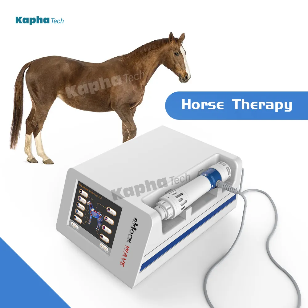 ESWT Focused Shock Wave Eletromagnetic For Equine Horeses Pai Treatment Physiotherapy Machine