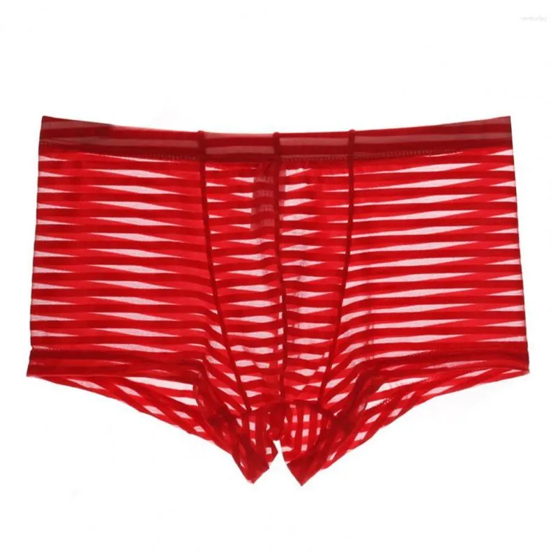 Caleçons hommes absorbant la sueur évacuant la transpiration vêtements transparents Nylon sous-vêtements masculins boxeurs culottes Lingerie intimes