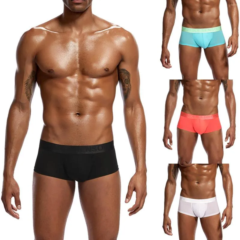 Kalsonger Herr Boxers Ice Silk Silk Man Trosor Seamless Underkläder Sommar Tunna Sexig One Piece Andas Herr Nylon