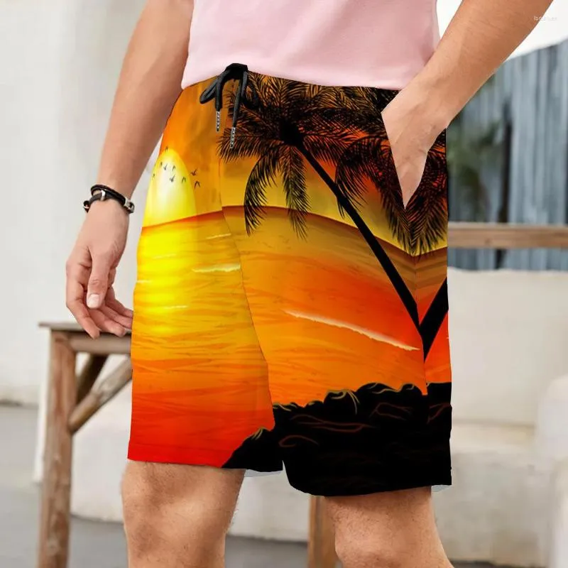 Shorts masculinos Calças de praia de verão para meninos Impressão digital 3D Flor Férias à deriva Men Source Factory