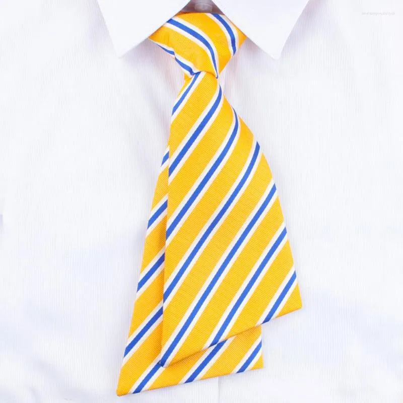 Flugor Linbaiway polyesterrandiga för manliga högtidskläder Business kostym jacquard slips herr bröllopsfest Cravat