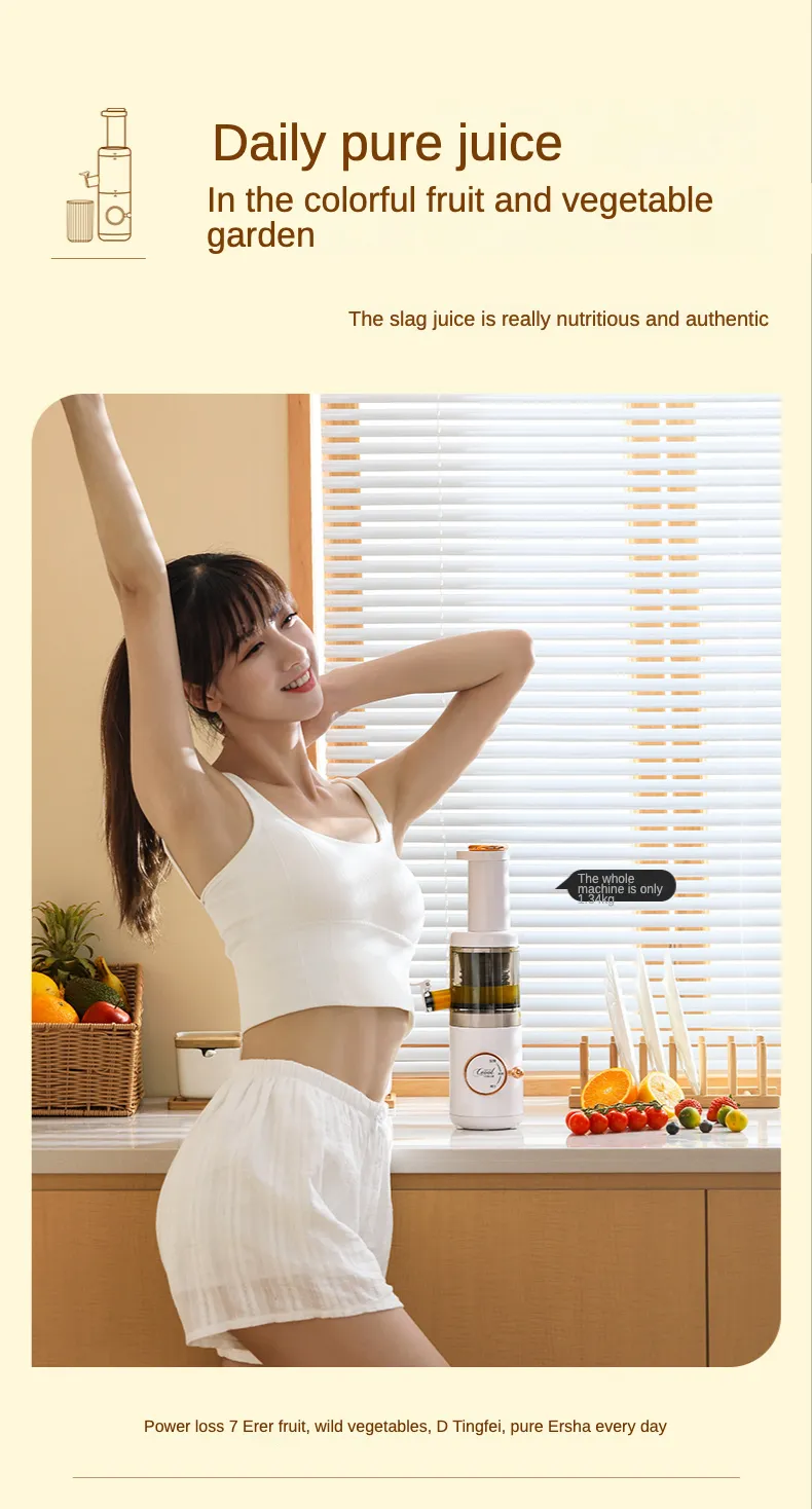 Portable Electric Fruit Juicer Kmart With Slow Press Extractor, Filter