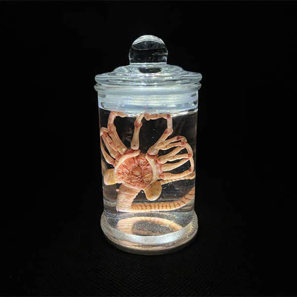 Alien Xenomorph Specimen Display Jar Eco Friendly... From Catherine08 ...