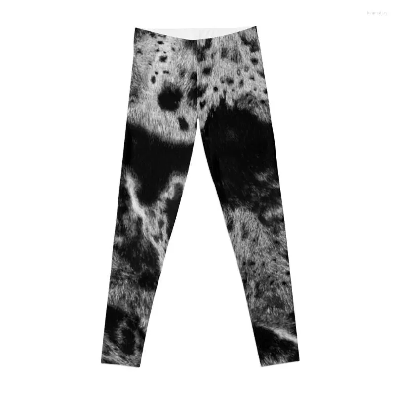 Active Pants Catahoula Leopard Dog Fur Blue Merle Leggings Legging Sport Dames