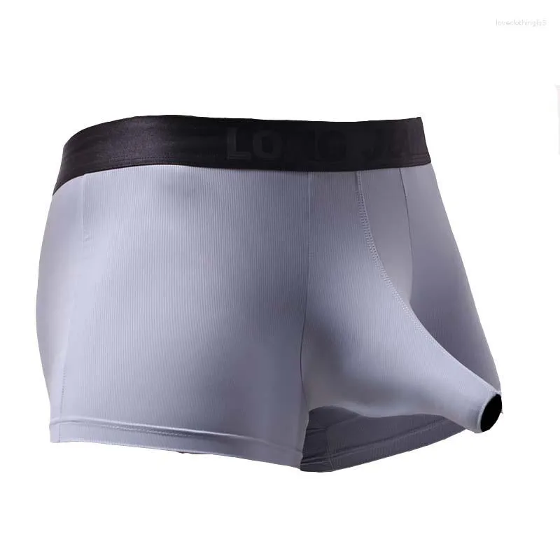 Calecon Marque Hommes Boxers Sous Vetements Sexy Ouvert Elephant Nez Grand Penis Poche Boxer Tronc Glace Soie Mens Boxershorts U Convex Male Culotte Du 10 19 DHgate