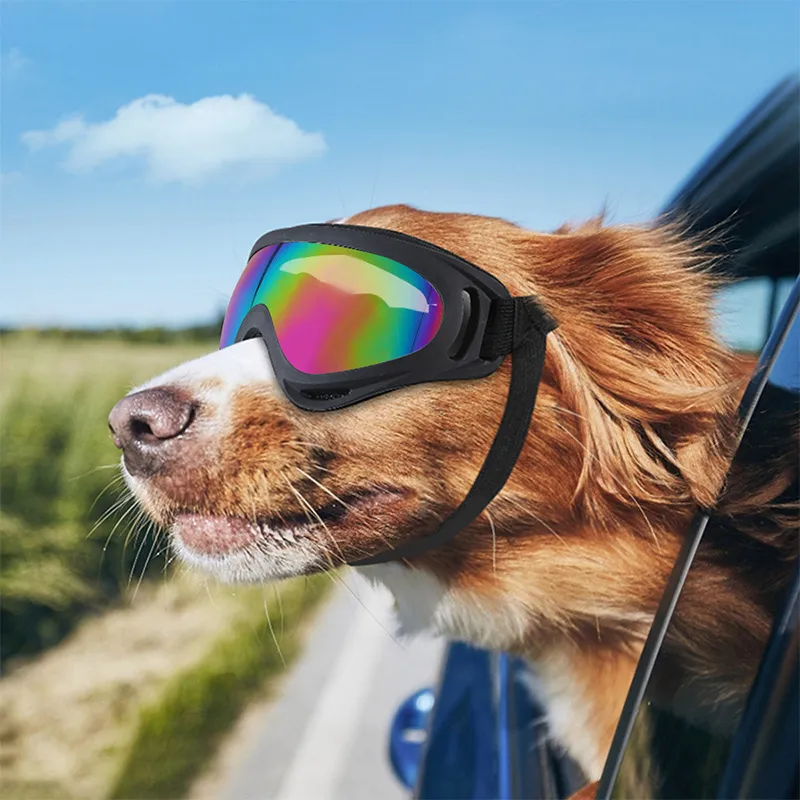 Lunettes de soleil pour chien avec sangle réglable Protection UV Coupe-vent Anti-buée Anti-poussière Anti-neige Imperméable Lunettes pour animaux de compagnie Lunettes pour moyen ou grand