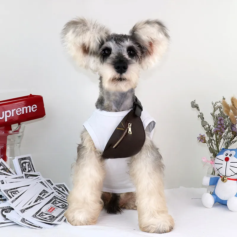 Stylish Crossbody Bag For Cats And Dogs Suitable For Small To