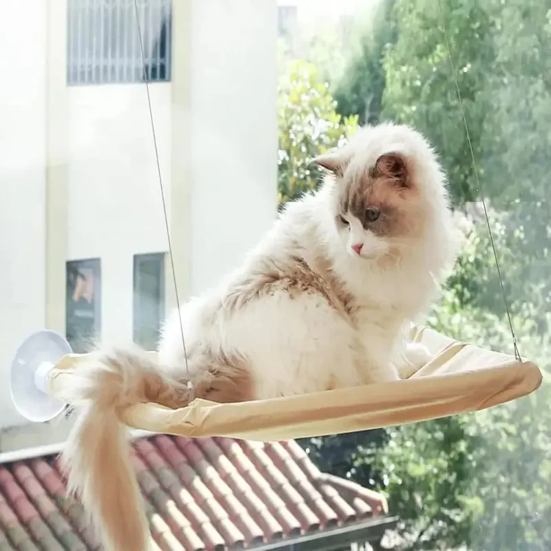 Husdjurssängar Söt katt hängande sängar, fönsterkatt Hängmattasäng för innekatter