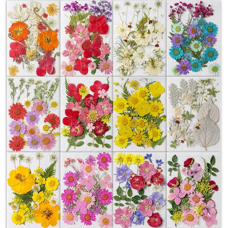 Decorative Flowers Dried Pressed Stickers For DIY Phone Case Epoxy Resin Filling Pendant Jewelry Making Crafts Nail Art Decor