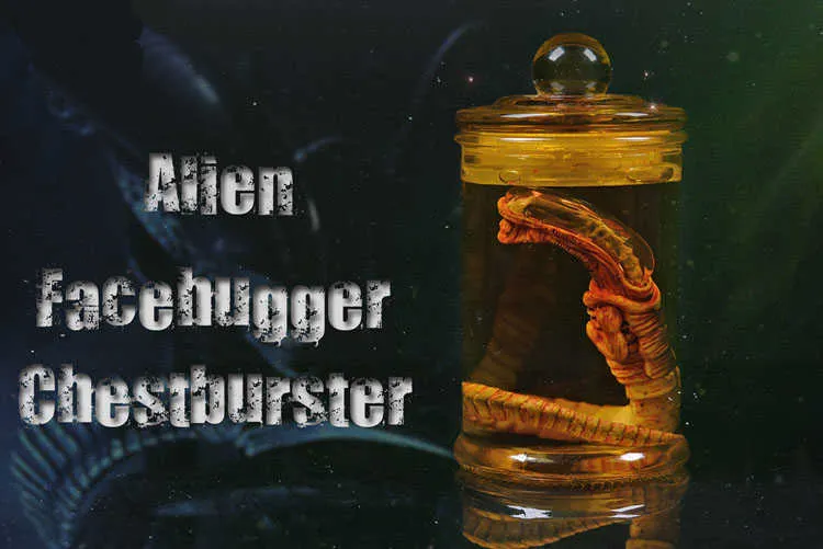 Alien Xenomorph Specimen Display Jar Eco Friendly... From Catherine08 ...