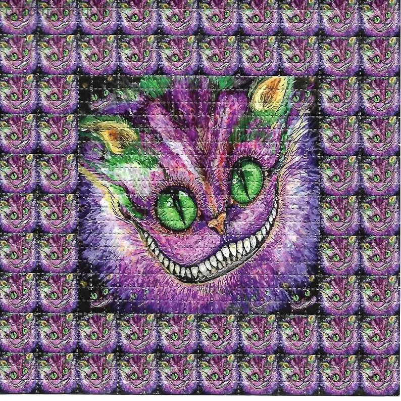 Uśmiechający się kot psychodeliczny bezkwasowy bibuła Art kwiat abstrakcyjna dekoracja malarstwo ścienne obraz plakat dekoracyjny do domu drukowanie L230704