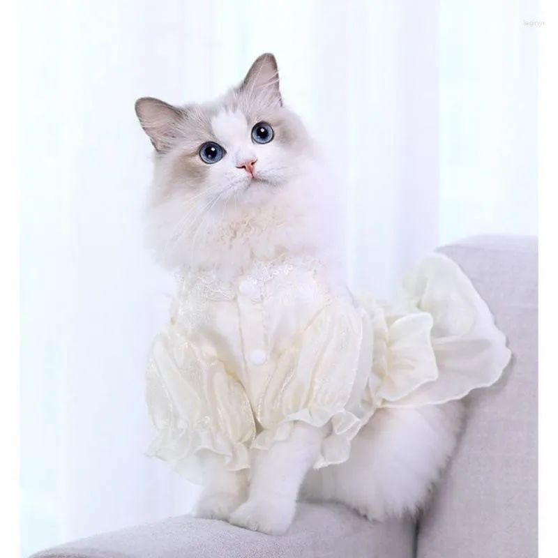 Trajes de gato roupas para animais de estimação fino primavera e verão gatinho vestido de noiva saia item princesa distribuição por atacado