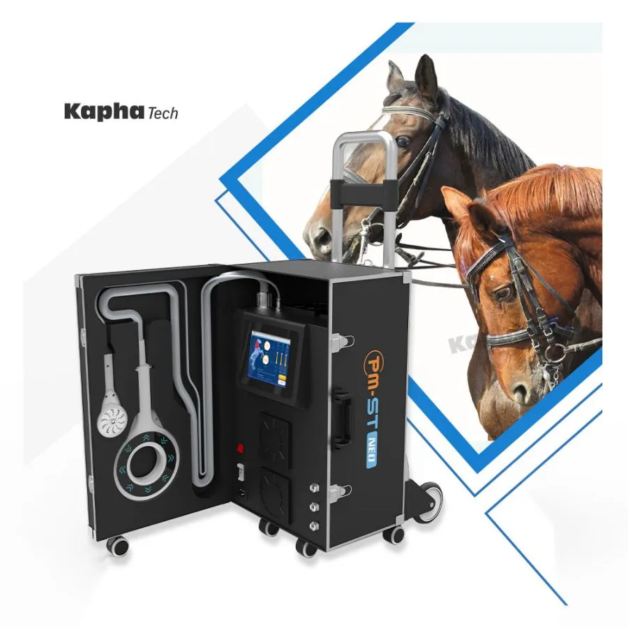 Equine PEMF Magneic Feild For Horses Sport Injury Loop Physiotherapy Machine