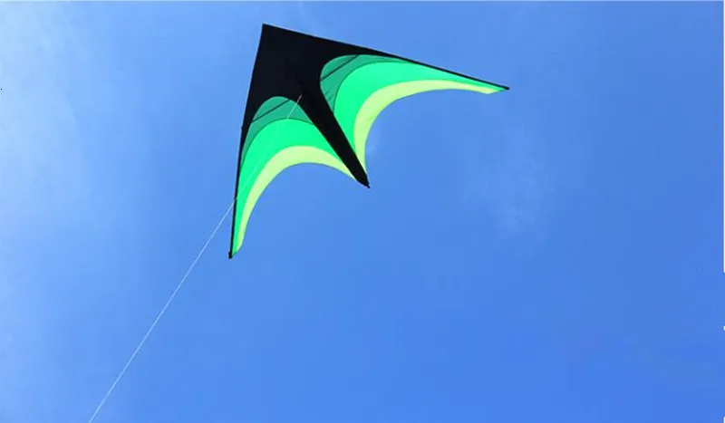 Kite Accessories 2m Large Delta Kite Flying Toys Line Kids Kites Factory  Delta Kites Flight Kite String Reel Beach Wind Parrot Game 230712 From  Powerstore07, $9.49
