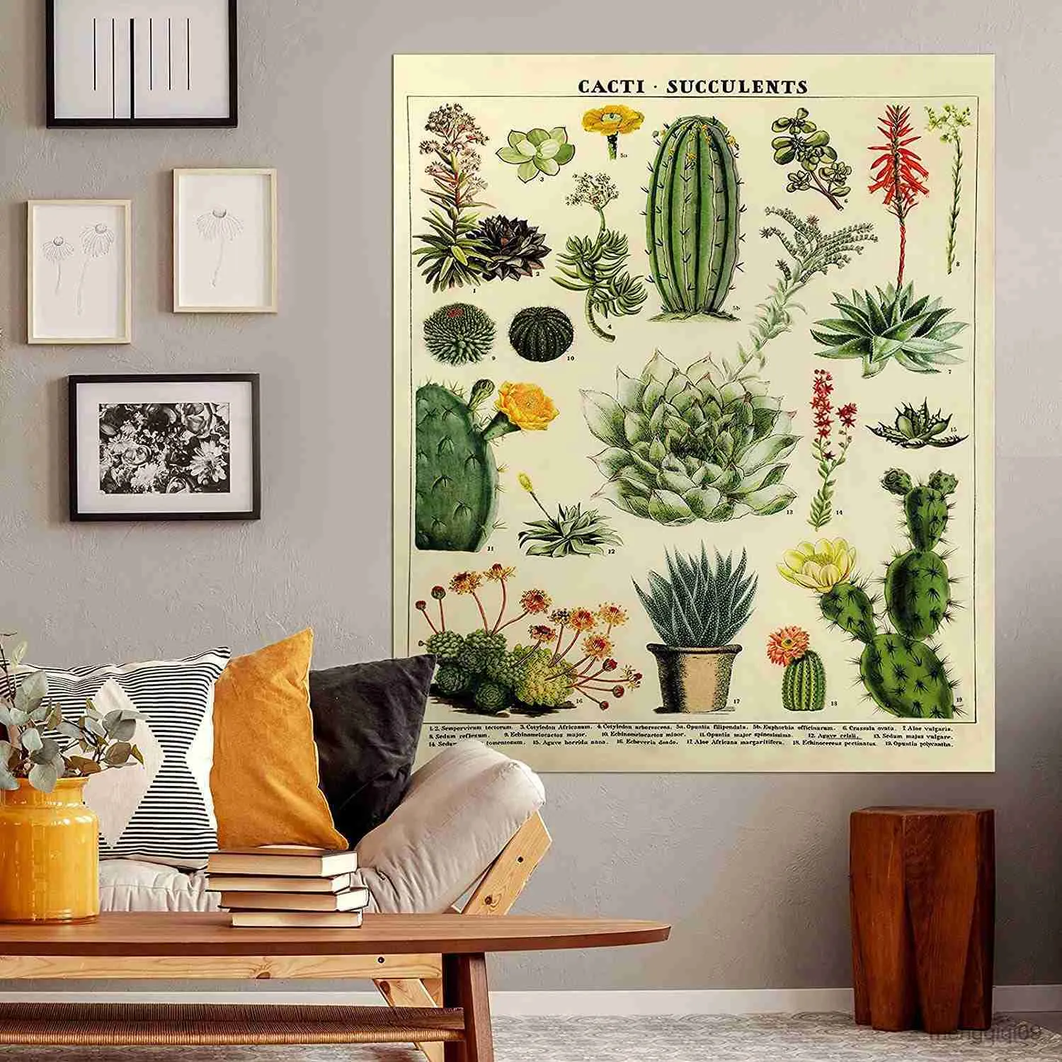 Bohemian Hippie Cactus Succulent Tapestry Wall Hanging With Mushroom Chart Retro Botanical Succulent Home Decor R230713 From Mengqiqi09 15.73 DHgate.Com