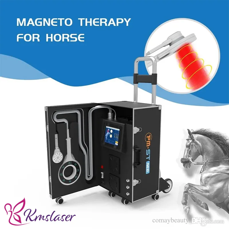 Boucle équine PEMF pour équipement de physiothérapie de traitement de la douleur de thérapie magnétique de chevaux