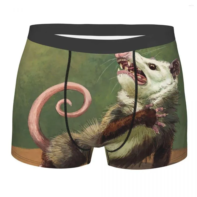 Sous-vêtements Custom Amateur Opossum Actrice Sous-vêtements Hommes Stretch Boxer Briefs