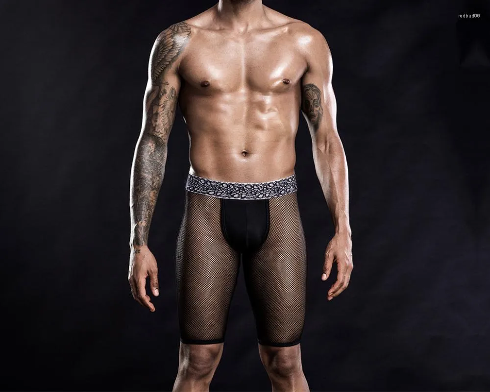 Caleçon homme Transparent érotique drôle Sexy Boxer long Legging sous-vêtement respirant Gay Lingerie culotte Boxershorts