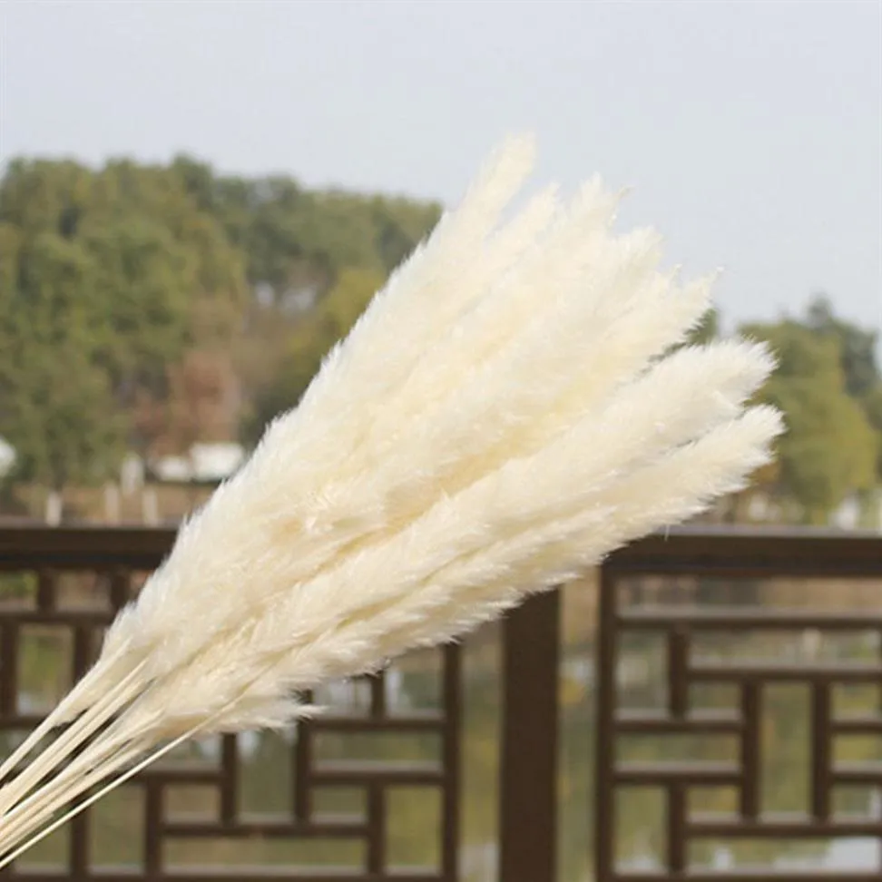 15x Natural Dried Pampas Grass Reed Home Wedding Flower Bunch Decor285G