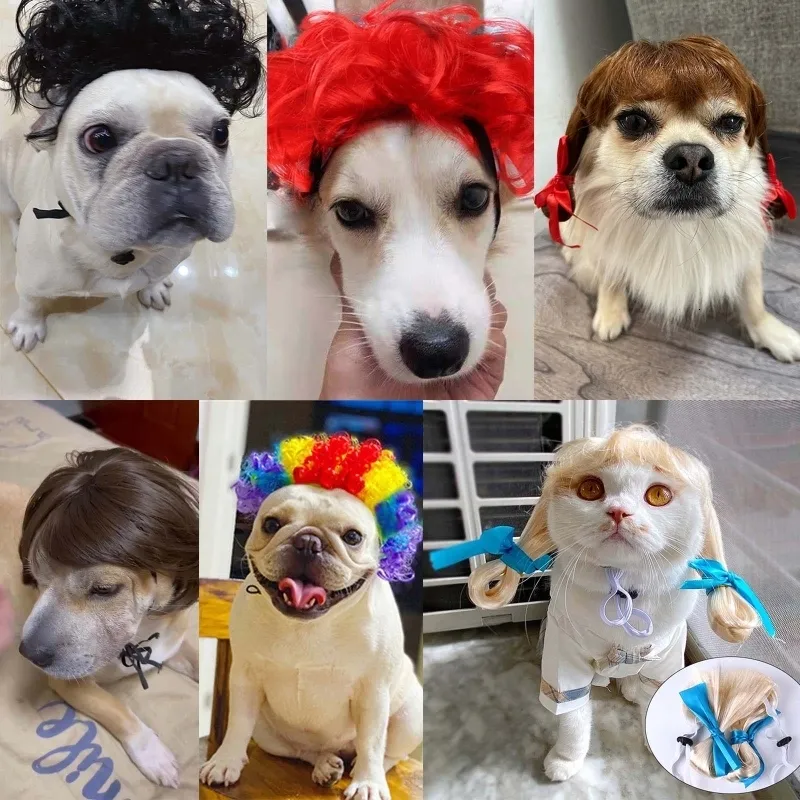 Afro wig dog sales