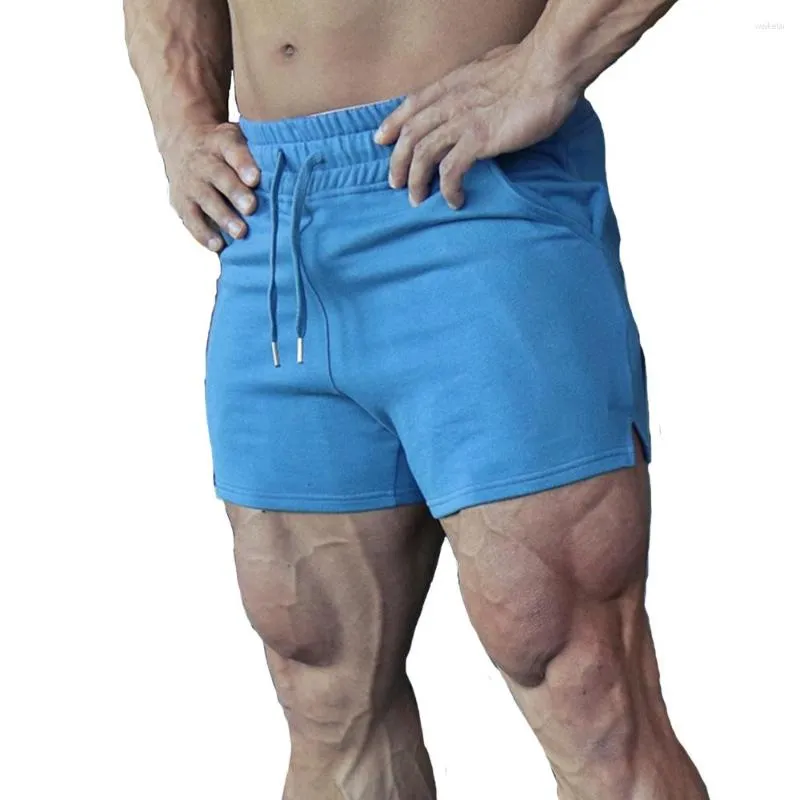 Hommes Shorts Hommes Fitness Gym Coton Sports D'été Couleur Pure Entraînement Musculation Courir Jogger Mâle Bleu Basketball