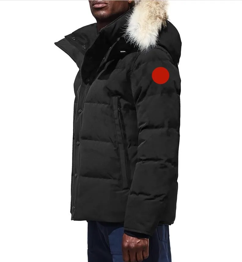 24 ss vinter män jackor real coyote päls designer homme puffer vindbrytare jassen ytterkläder huva fyrrure manteau down jacka kappa kappa