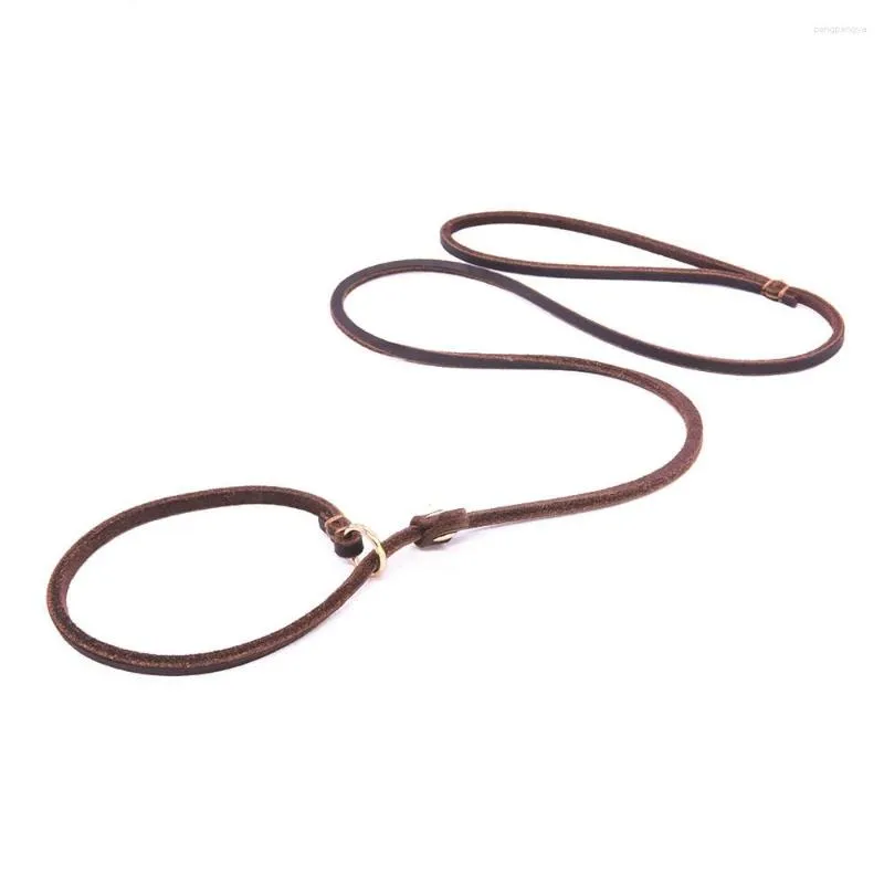 Collares para perros Correa de plomo deslizante Calidad hecha a mano Cuerda de cuero real Collar de cadena Sin tirar Mascota Cachorro Pug Lazo de entrenamiento