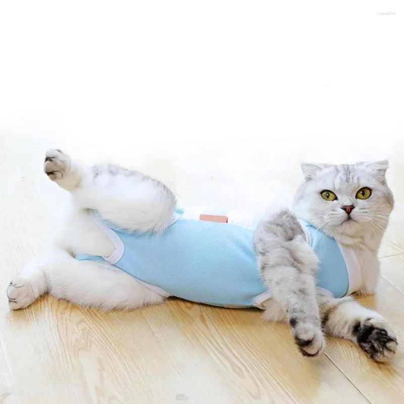 Dog Apparel Pet Recovery Suit Adorable E-Collar Alternative Cat Stérilisation 4 tailles
