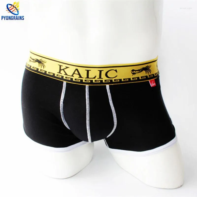 Cueca 2023 Sexy Cueca Masculina Clássica Algodão Spandex Boxer Masculino Shorts Marca Cuecas Boxer Gay