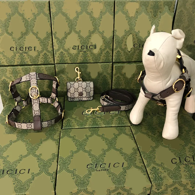 Adjustable Hairless Cat And Dog Collar Set With Traction Rope, Harness