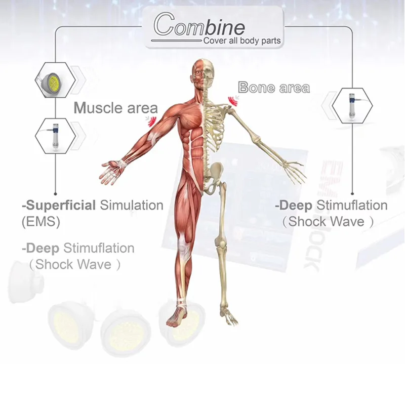 Physical Therapy Machine Relieve Muscle Pain Physical Beauty Equipment Shock Wave Physiotherapy Device ED Treatment And Bone Healing Clinic Use Shock wave physical therapy machine pain relief ed treatment - Honkay shockwave therapy machine,shock wave therapy machine pain relief,shock wave therapy device,shock wave machine,shock wave