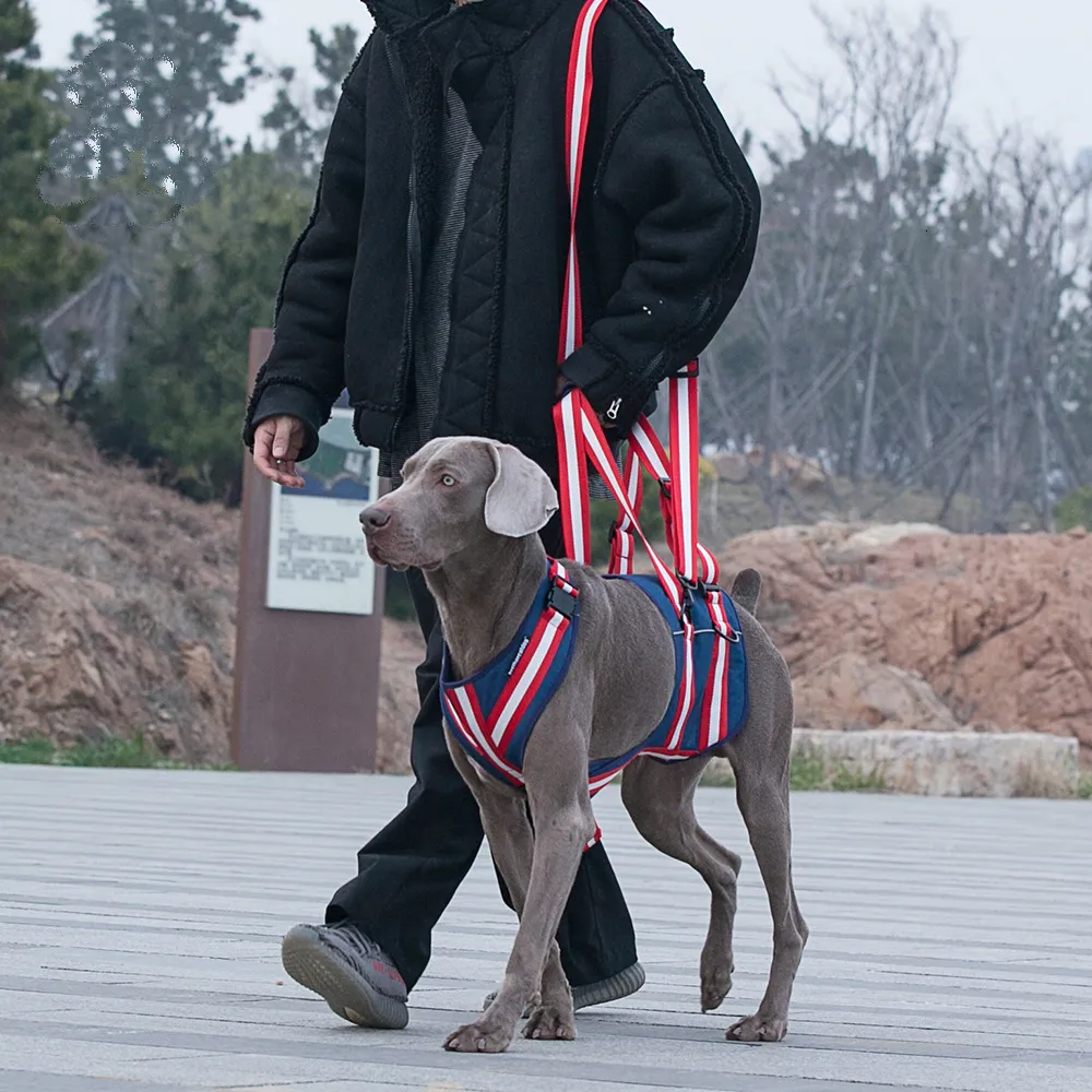 Chien Colliers Laisses Harnais De Levage Pour Chiens Pet Support Arrière Avec Bandoulière Sling Arrière Jambes Hanche 230719