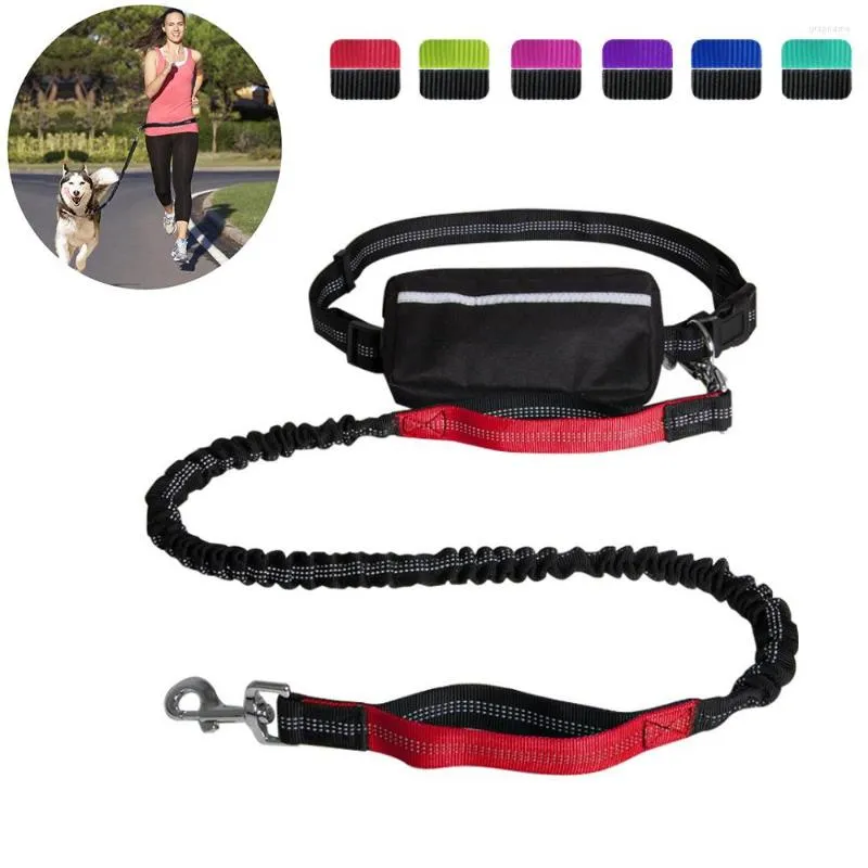 Collari per cani Riflettente Regolabile Mani libere Guinzaglio Walking Traction Corda di piombo Cinghia Pet Running Marsupio Marsupio Jogging Sport